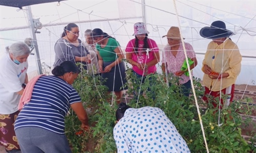 Pensar el aprendizaje de la agricultura urbana en una ciudad de la frontera